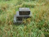 image of grave number 355199